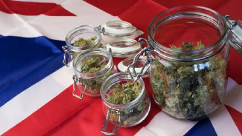 New Cannabis Industry Council Aims To Create A Single Unified Cannabis Voice For The UK